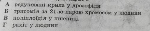 Із вказаних змін модифікацією є​