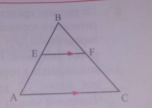СРЧ ОЧЕНЬ ВАЖНО Зная, что в ∆АВС EF || АС, найдите требуемое.а) BE = ? если AB = 64 см и BF : FC = 5