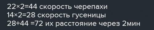 6. Черепаха и улитка движутся в противопо- ложных направлениях. Скорость черепахи22 cm/min, а скорос