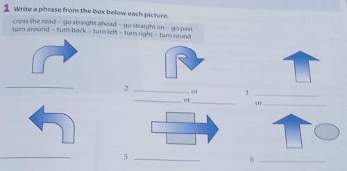 Write a phrase from the box below each picture, cross the road go straight ahead go straight on go p