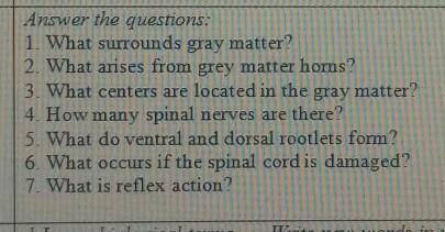 Answer the questions: 1. What surrounds gray matter?2. What arises from grey matter homs?3. What cen