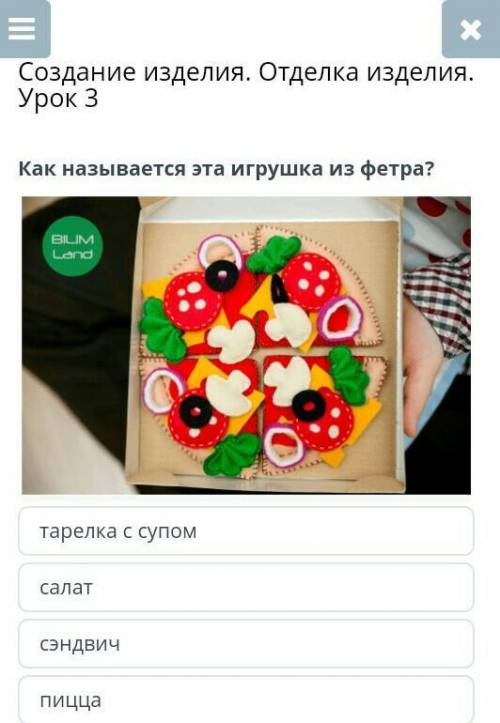 Создание изделия. Отделка изделия. Урок 3 Как называется эта игрушка из фетра?￼тарелка с супомсалатс