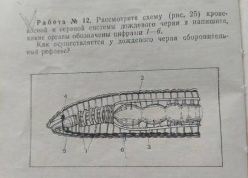 БиОлОгия(смотрите вложение)