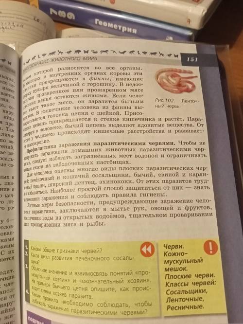 Составьте конспект по 40 параграфу биологии 7 класса автор Пасечкин