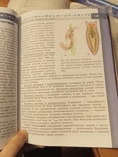 Составьте конспект по 40 параграфу биологии 7 класса автор Пасечкин