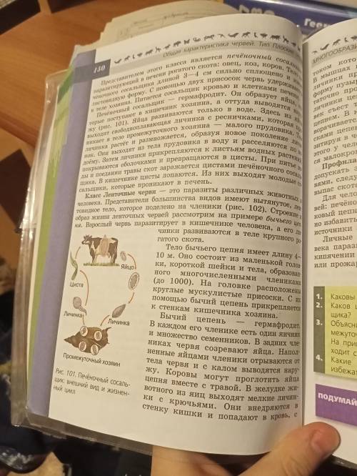 Составьте конспект по 40 параграфу биологии 7 класса автор Пасечкин