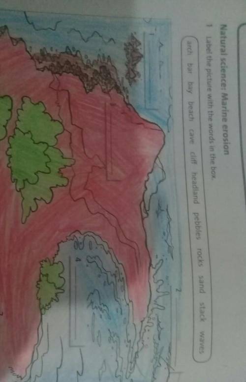 Natural science: Marine erosion1Label the picture with the words in the box.​