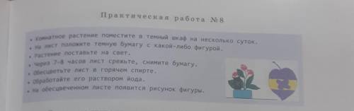 При старших выполните описанный ниже опыт дома.Доложите его результаты одноклассникам и учителю. Сде