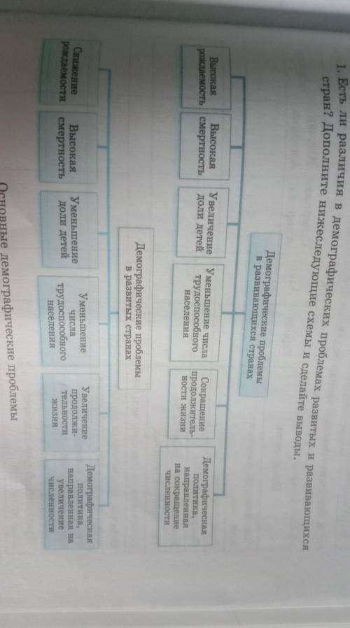 Есть ли различия в демографических проблемах развитых и развивающихся стран? Дополните нижеследующие