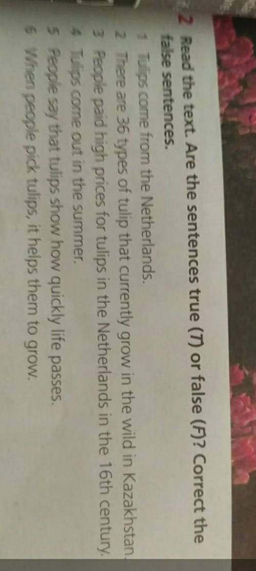 2 Read the text. Are the sentences true (1) or false (F)? Correct the false sentences.1 Dios come fr