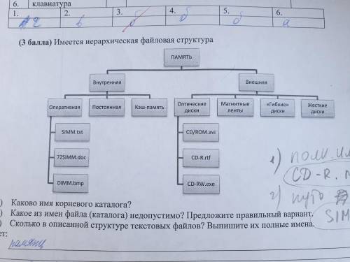 1) полное имя CD-R.rtf 2) путь SIMM.txt