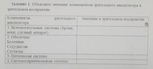 Объясните значение компонентов зрительного анализатора в зрительном восприятии