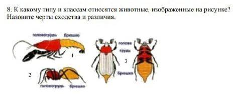 к какому типу и классам относятся изображенные на рисунке животные?Назовите черты сходства и различи