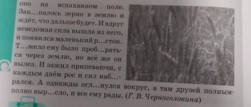 Р. Черноголовина) 389Б. Раздели текст на абзацы, определи их микротемы.Составь план текста. К какому