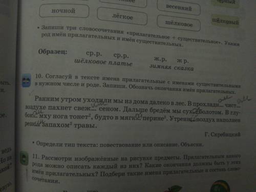 согласуй в тексте имена прилагательные с именами существительными в нужном числе и роде запиши обозн