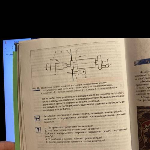 ответьте на 5 вопросов !