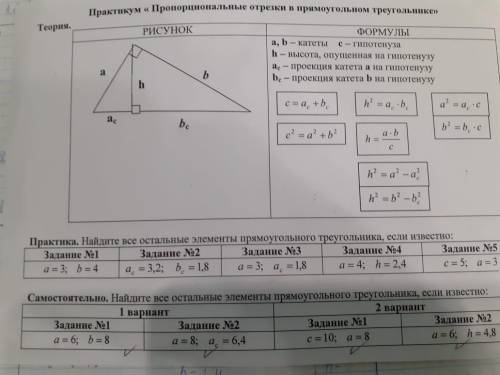 с геометрией Пропорциональные отрезки в прямоугольном треугольнике(то что отмечено)