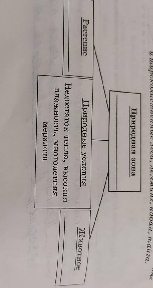 Заполните пустые ячейки на схеме, выбрав слова и/или словосоче тания на приведённого списка.Липа, су