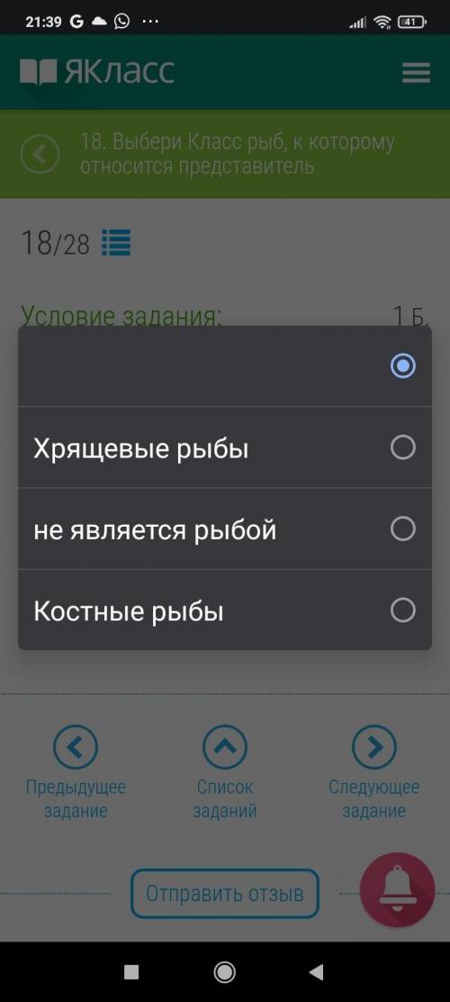 Обозначь, к какому Классу рыб относится тритон.