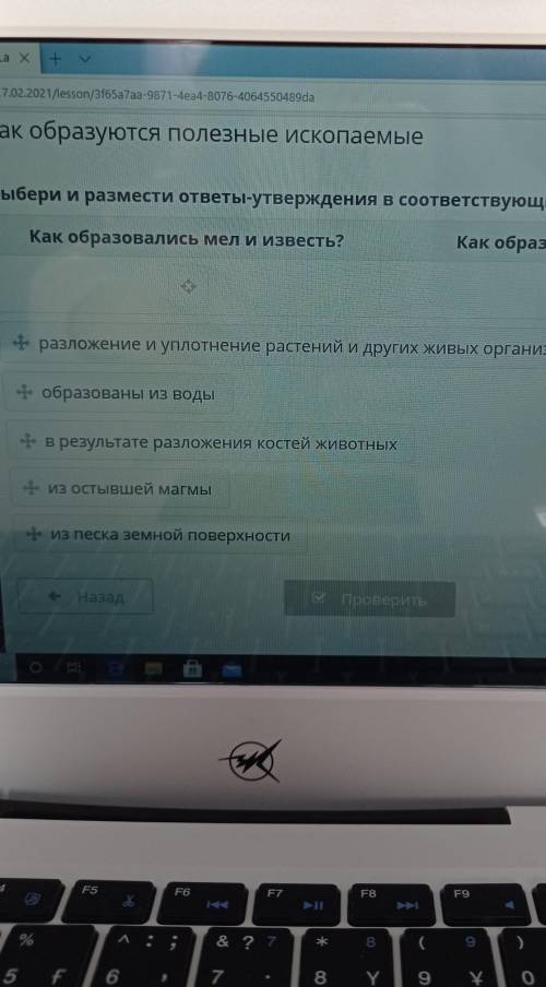 Как образовались мел и известь билим Ленд​