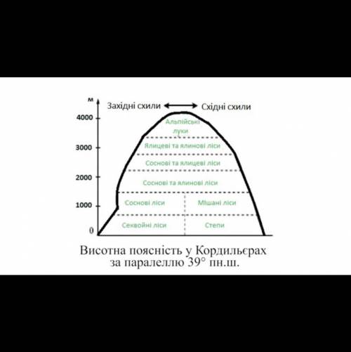 Складіть схему висотної поясності гір Кордильєри (зразок закріплено вище)