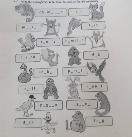 Write the missing letters in the boxes to complete the pets vocabulary​