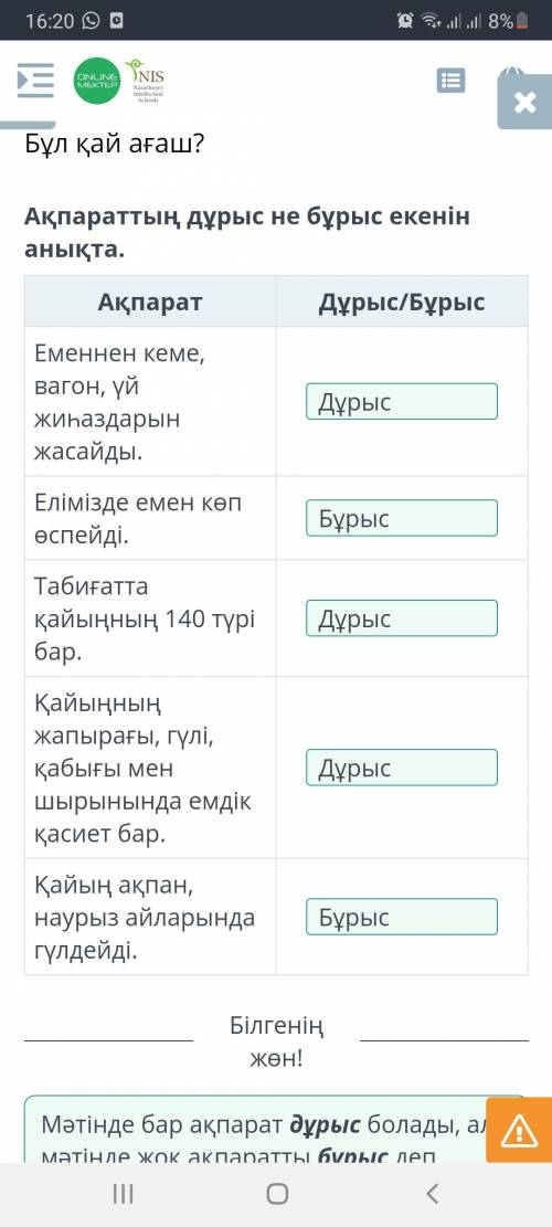 Бұл қай ағаш? Ақпараттың дұрыс не бұрыс екенін анықта. Ақпарат Дұрыс/Бұрыс Еменнен кеме, вагон, үй ж