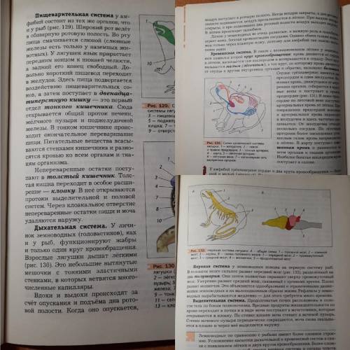 Написать план к параграфу Заранее огромное