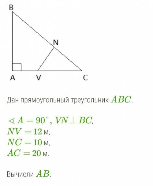   Дан прямоугольный треугольник ABC. ∢A=90°,VN⊥BC,NV= 12 м,NC= 10 м,AC= 20 м. Вычисли AB. Сначала до