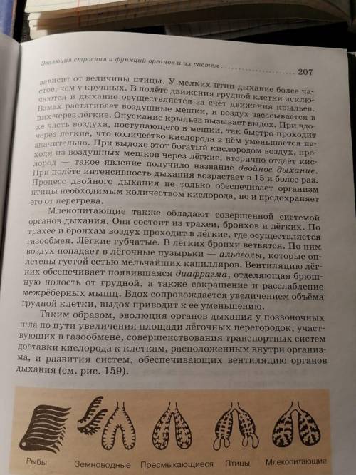 Краткий пересказ параграфа(39) ОРГАНЫ ДЫХАНИЯ И ГАЗООБМЕН по биологии 7 класс Латюшин и Шапкин