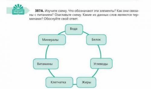 Изучите схему. Что обозначают эти элементы? Как они связанны с питанием? Озаглавьте схему. Какие из