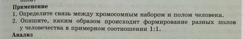 Применение. 2.Опишите ,каким образом происходит формирование разных полов у человечества примерном с