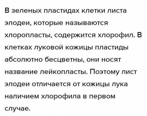 В чем сходство и различие между клетками кожицы чешуи лука и клетками листа элодеи