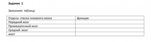 я уже везде понял что писать, кроме переднего мозга подскажите каковы функции переднего мозга :)