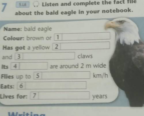 7 Listening5.16 Listen and complete the fact fileabout the bald eagle in your notebook.Name: bald ea