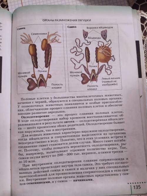 Половое размножение животных краткое содержание параграф 19)очень надо, биология 6 класс Н. И. Сонин