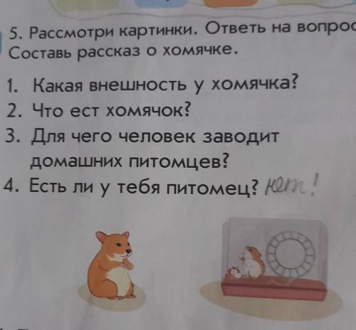 5. Рассмотри картинки. ответы на вопросы. Составь рассказ о хомячке.1. Какая внешность у хомячка?2.