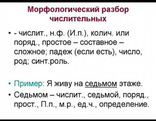 Морфологический разбор числлительного​