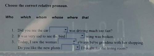 Choose the correct relative pronoun. Whowhichwhomwhose wherewhere that1. Did you see the car2. It wa