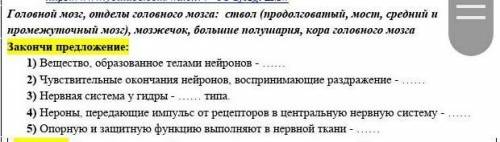 1)     Вещество, образованное телами нейронов - …… 2)     Чувствительные окончания нейронов, восприн