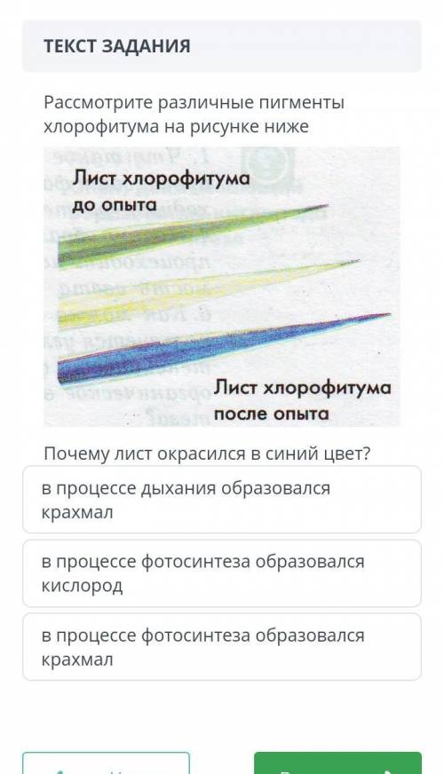 Почему лист окрасился в синий цвет в процессе дыхания образовался крахмал​