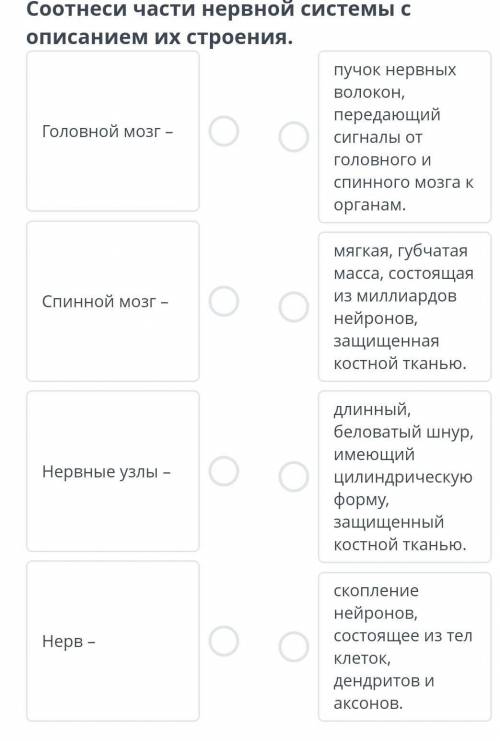 Центральная и периферическая части нервной системы. Спинной мозг Верных ответов: 2координация и регу