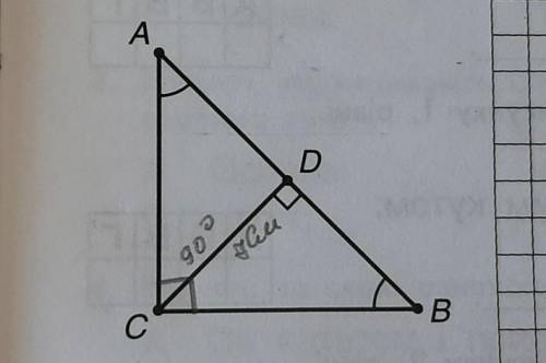 А) у трикутнику ABC кутC = 90°, кут А = куту B, CD = 7 см, CD перпендикулярна AB. Доведи, що CD = AD