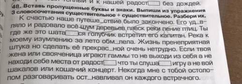 48. Вставь пропущенные буквы и знаки. Выпиши из упражнения 3 словосочетания существительное + сущест