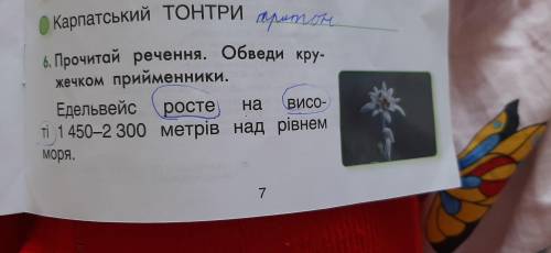 На які питання відповідають прийменники