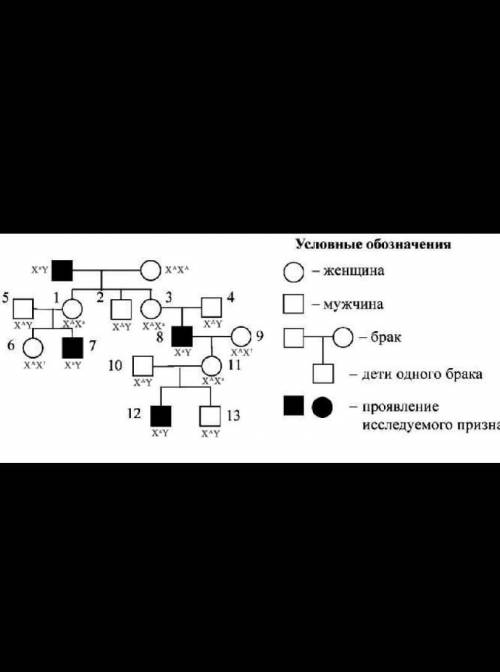 какова вероятность того, что среди 4 детей гетерозиготных по одному гену родителей трое будут иметь