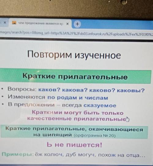 Чем в предложении являются краткие прилагательные?​