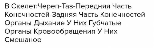 Подпишите органы скелеты у птицы ОЧЕНЬ НАДО