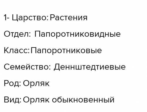 Составить классификацию любого растения, используя материалы сети интернет.