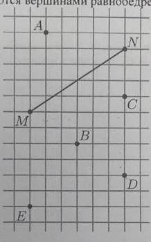 на рисунке изображён отрезок MN и отмечено несколько точек. Какие из отмеченных точек вместе с точка